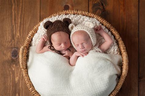 Twin Baby Boys Sleeping In A Basket Stock Photo Image Of Human