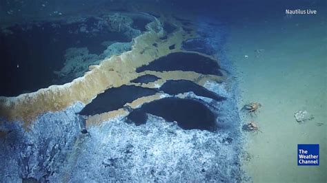Check Out These Cool ‘underwater Lakes In Gulf Of Mexico Videos From