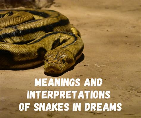 Meanings And Interpretations Of Snakes In Dreams Exemplore
