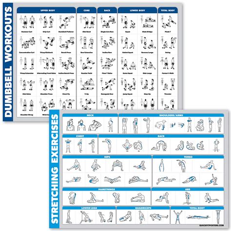 Quickfit Dumbbell Workouts And Stretching Exercise Poster Set