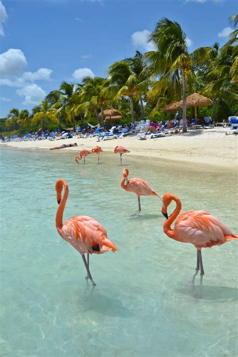 Know Your Caribbean Abc Islands Aruba Bonaire And Curacao Places To
