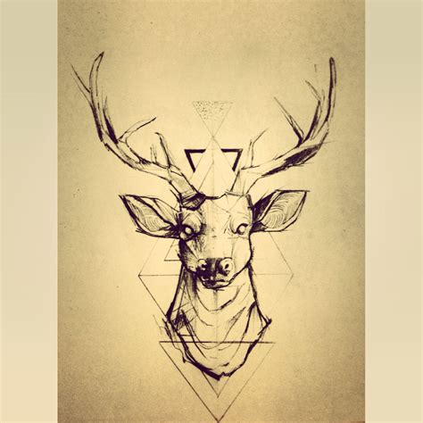 Deer Tattoo Deer Tattoo Designs Deer Tattoo Tattoos