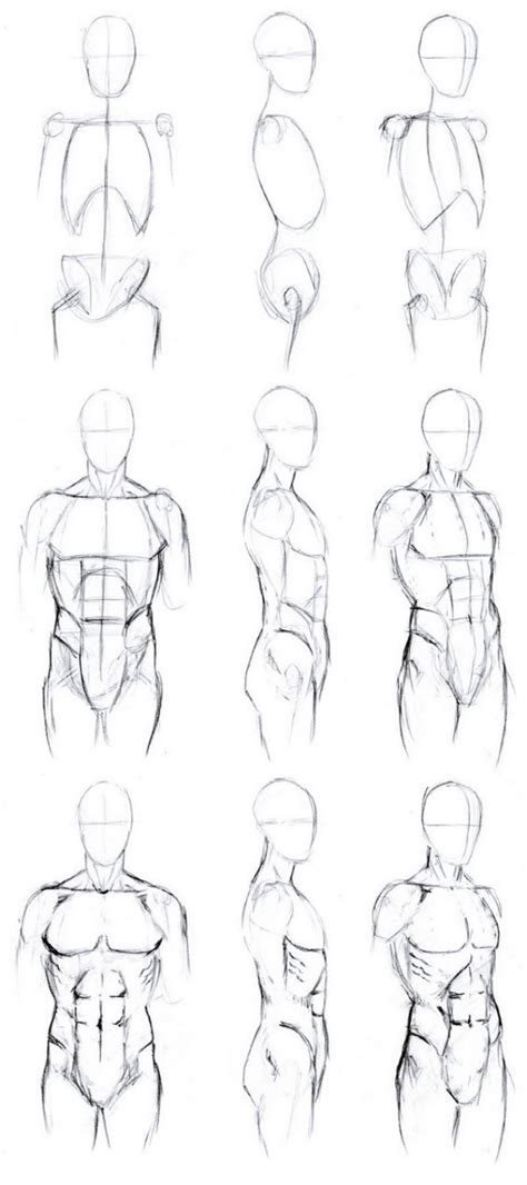 How To Draw Body Shapes Tutorials For Beginners Bored Art