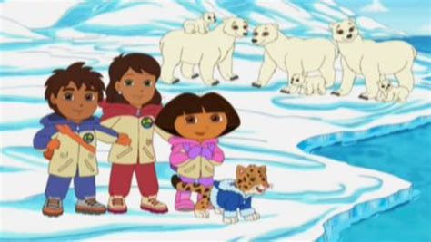 Go Diego Go Dora Bears