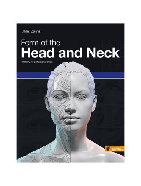 Form Of The Head And Neck Pdf Ebook Anatomy For Sculptors