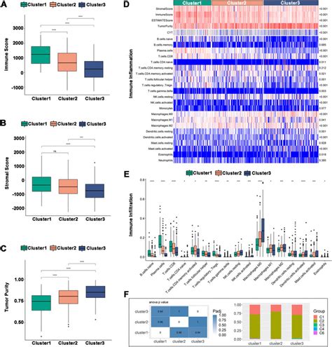 Frontiers Identification Of Tumor Antigens And Immune Subtypes In