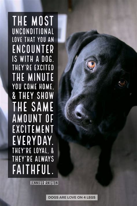 Unconditional Dog Love Quotes