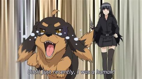 Dog And Scissors Ep 1 L Anime Awesome Anime Dog