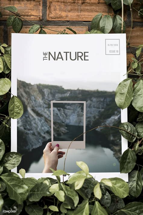 17 Awesome Book Mockup Nature Mockup Cottonbud