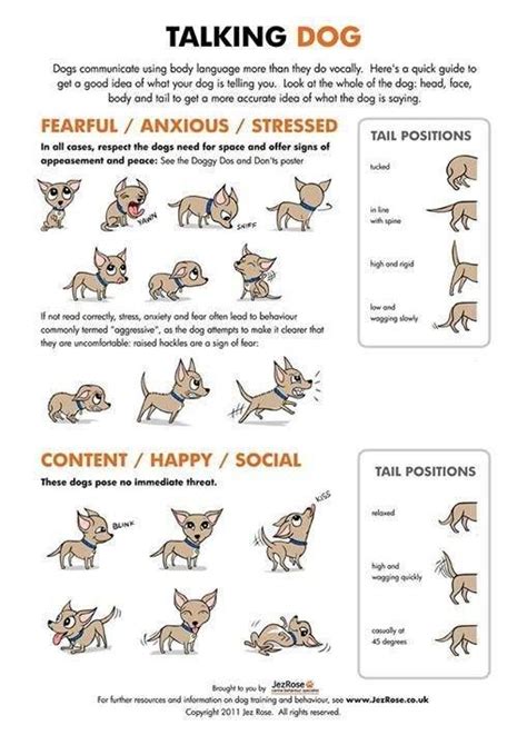 Dog Body Language Talking Dog Dog Language Dog Training