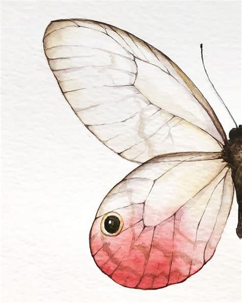 25 Beautiful Watercolor Butterfly Painting Ideas Beautiful Dawn Designs
