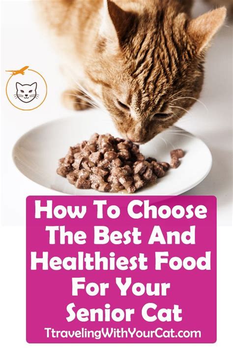 Our top pick for the best kidney support cat food for senior cats: How To Choose The Best And Healthiest Food For Your Senior ...