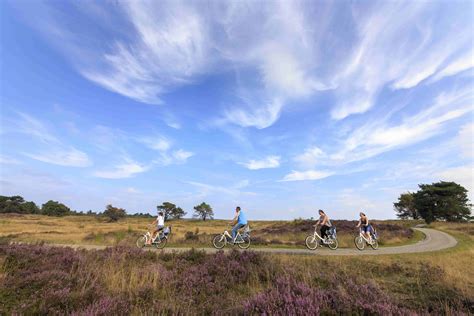 Camping In Der Veluwe Radfahren Durch Das Nationalpark Hoge Veluwe