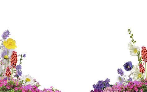 Free Flower Photo Overlay Photoshop Overlays From Mroverlay Photo