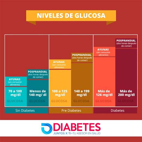 ¿cuáles Son Los Niveles óptimos De Glucosa Educación Para La Salud
