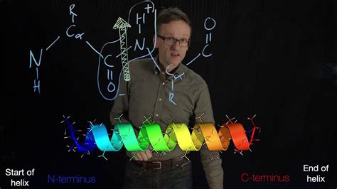 Lecture 04 Concept 21 Alpha Helix Capping With Charges Youtube