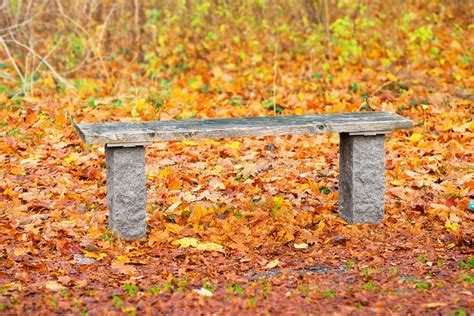 Park Bench In Autumn Stock Image Image Of Garden Colorful 34875127