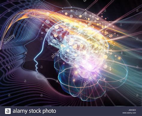 Human Mind Series Composition Of Brain Human Outlines And Fractal