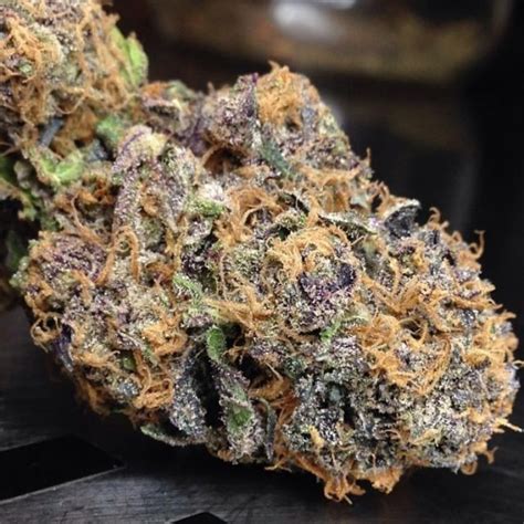 Purple Urkle Strain Review Real Functional