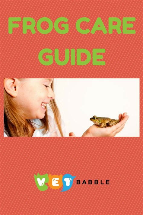 Frog Care Caring For Pet Frogs Tips And Ideas Vetbabble Frog
