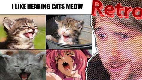 Share More Than 67 Anime Cat Memes Best Vn