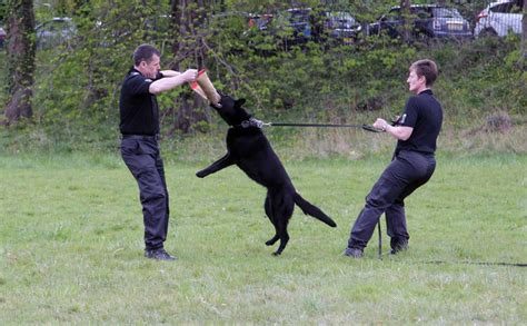 In Pictures North Wales Police Open Day North Wales Live