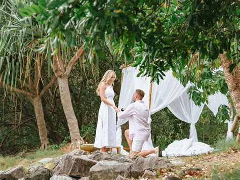 Noosa Proposals And Picnics Based In The Sunshine Coast