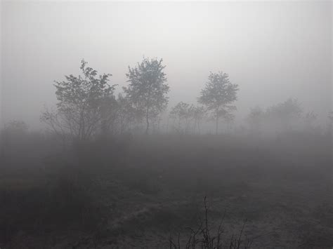 Foggy Morning Captured During Morning Walk Rfoggypics