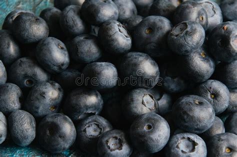 Berry Background Or Photo Wallpaper Blueberry Berry Close Up Macro