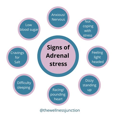 Adrenal Stress Signs Integrated Health Solution