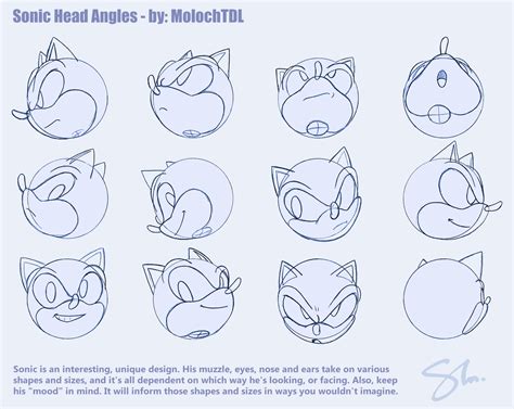 Sonic Head Angles By Molochtdl On Deviantart