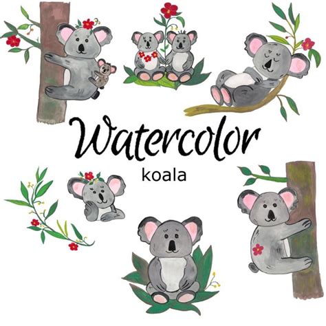 Watercolor Clipart Koala Clip Art Nature Scrapbooking Animals Etsy