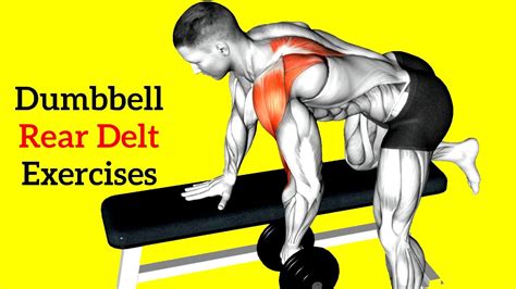 7 Best Dumbbell Rear Delt Exercises For Stronger Shoulders YouTube