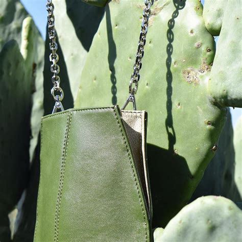 If the pot is too. Creating Leather From Cactus to Save Animals and the ...