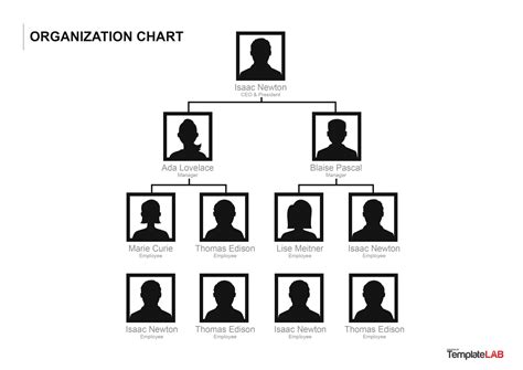 View 19 37 Hierarchy Organization Chart Ppt Template Free Download