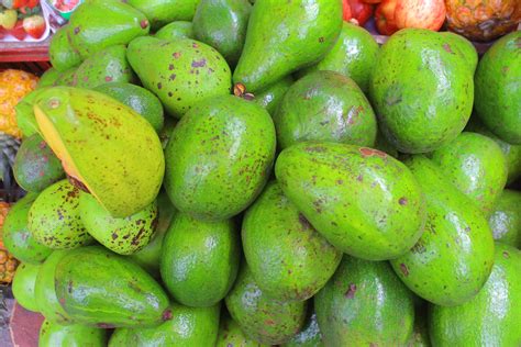 Free Images Nature Fruit Food Green Produce Avocado Healthy