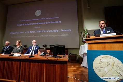 Three Scientists Share 2019 Nobel Prize In Physiology Or Medicine Xinhua English News Cn