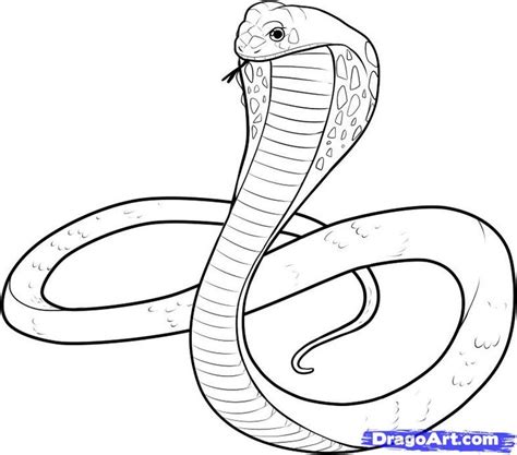 Snake Images For Drawing Clip Art Library