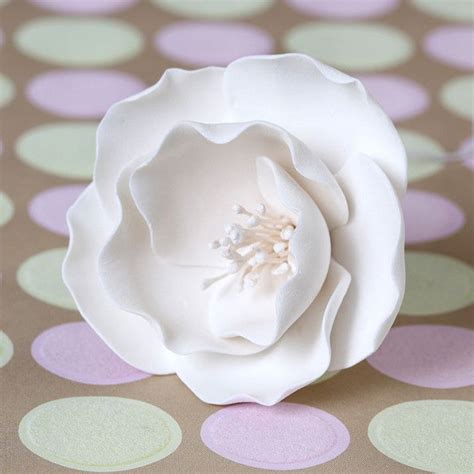 Small Briar Roses White — Caljavaonline