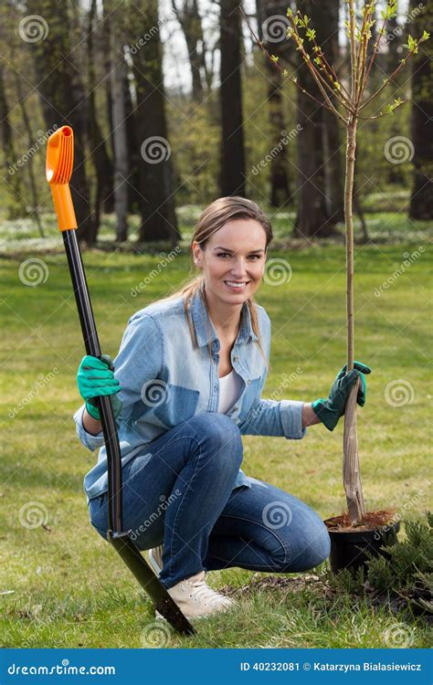 Woman Planting Young Tree Stock Image Image Of Leisure 40232081