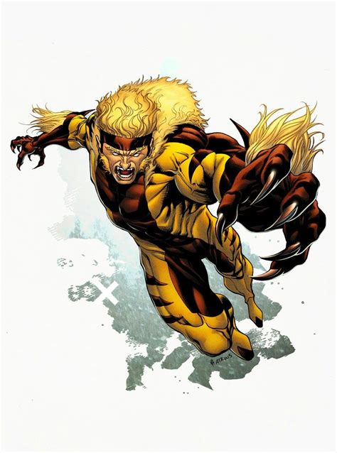 Sabretooth Sabretooth Marvel Comic Book Villains Marvel Villains