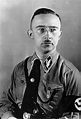 Recuperan diarios de Heinrich Himmler