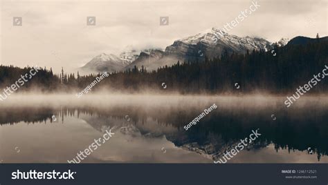 Lake Herbert Panorama Foggy Morning Glaciers Stock Photo 1246112521