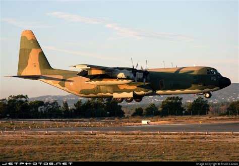 16806 Lockheed C 130h 30 Hercules Portugal Air Force Bruno