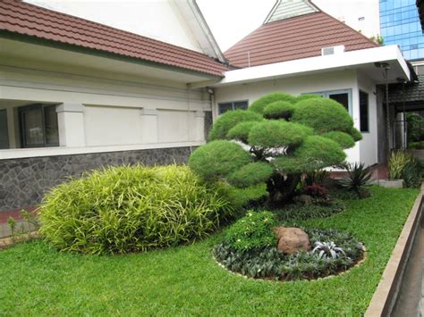 13 maret 2019 pukul 09:52. Jual Pohon Cemara udang bonsai | harga cemara udang murah | Tukang Taman