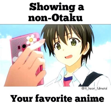Non Otakus Anime Amino