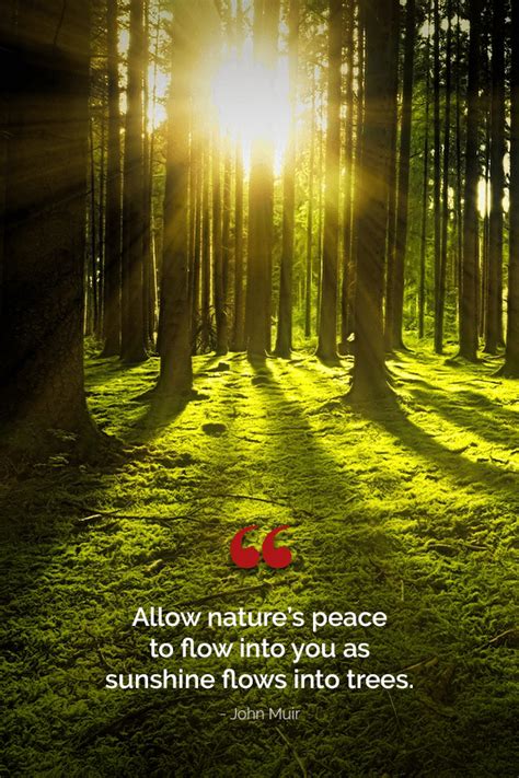 Nature Quote Allow Natures Peace To Flow Into You As Sunshine Flows