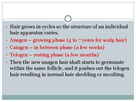 Hair Shaft Disorders Giti Sadeghian Dermatologist Skin Diseases