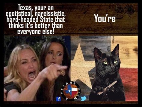 Pin By Robin Stuteville On Texas ️ Funny Cat Memes Funny Animal