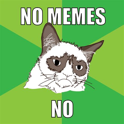 Top 50 no no no meme piggy alpha roblox animation best memes made. No Memes - We Need Fun